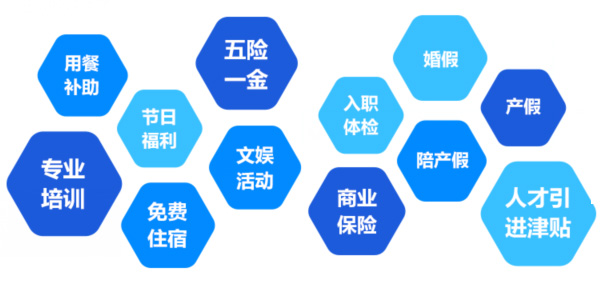 提供全面、系統(tǒng)、專業(yè)的培訓和廣闊的<br>職業(yè)發(fā)展空間和提升機會